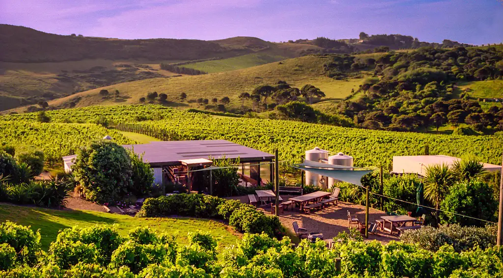 Waiheke Scenic Wine Tasting Tour