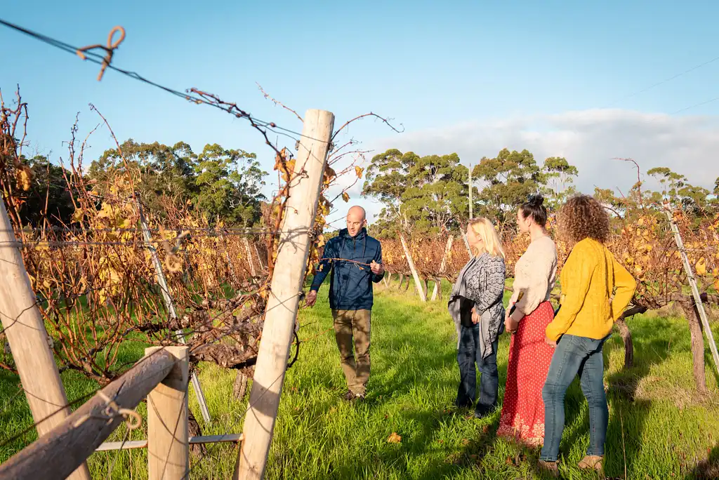 Secret Delights: Wine, Coffee, Artisan and Forest | Half Day Tour