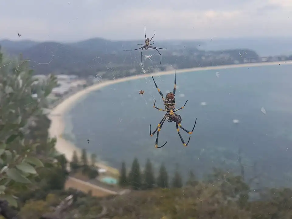 Port Stephens Beach Trip from Sydney