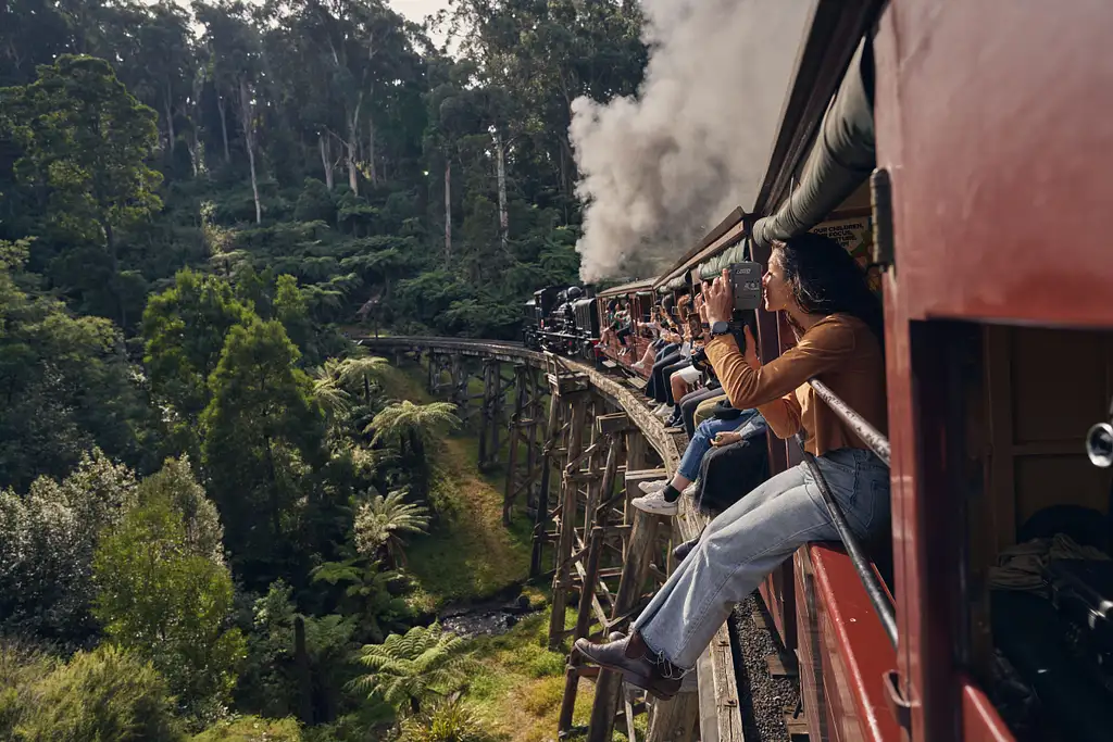 Puffing Billy Steam Train & Wildlife Tour | From Melbourne