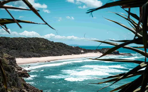 Two Islands You Must Visit in SEQ