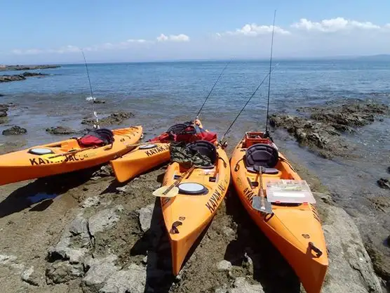 Kayak & Snorkeling from Jacó