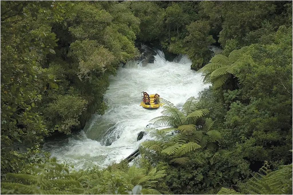 Rotorua White Water Rafting | Kaituna River