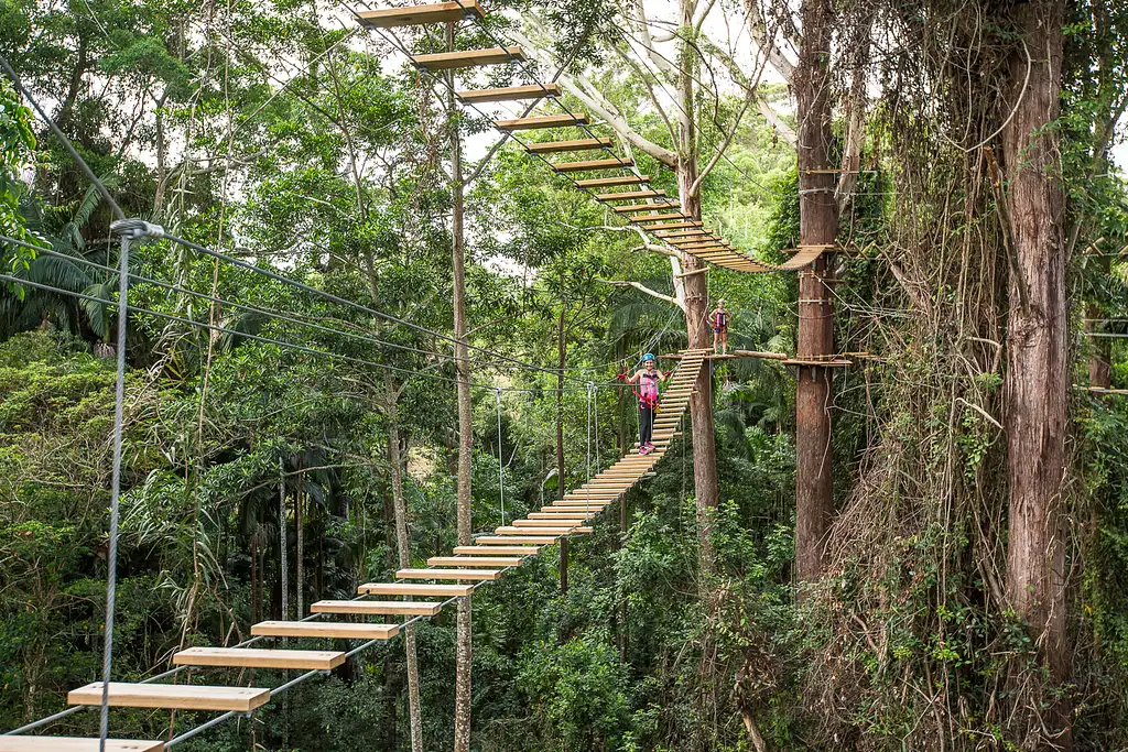 Treetop Challenge High Ropes Course Sunshine Coast