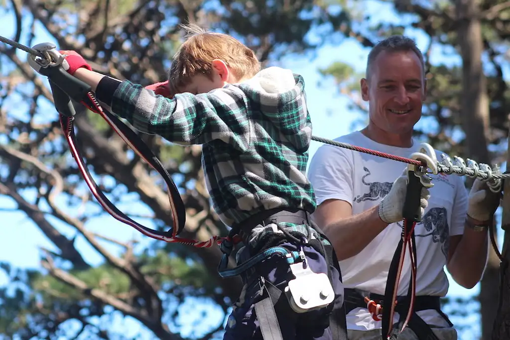 Adrenalin Forest Aerial Obstacle Course