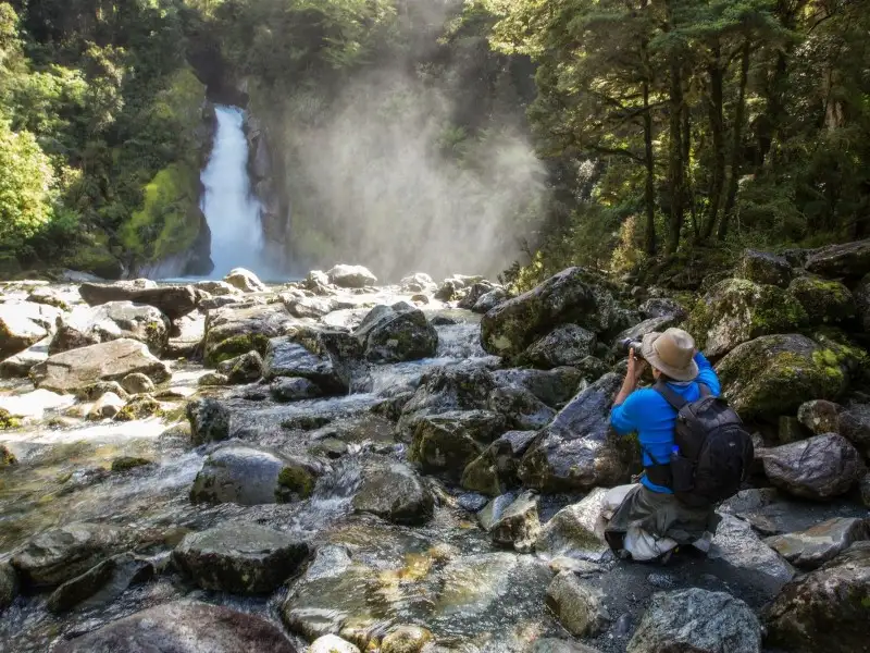 Milford Sound Cruise & Milford Track Walk