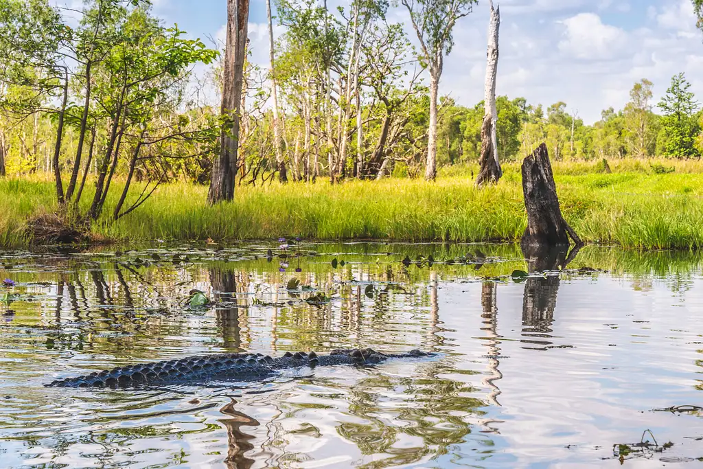 Top End Safari Camp Overnight Tour