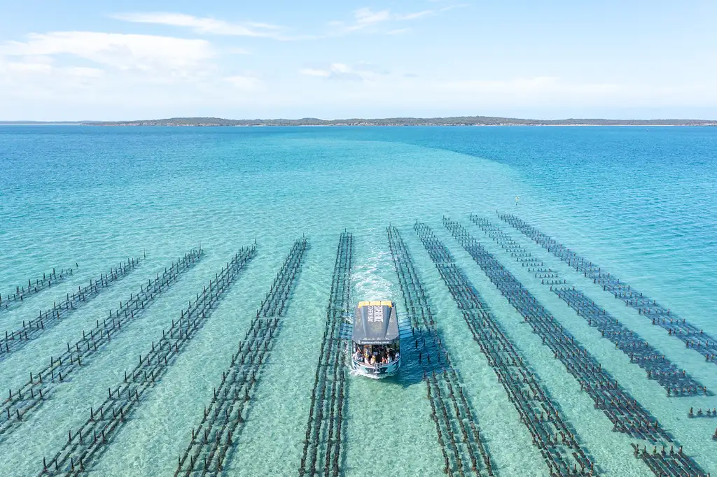 Coffin Bay Oyster Farm & Bay Tour