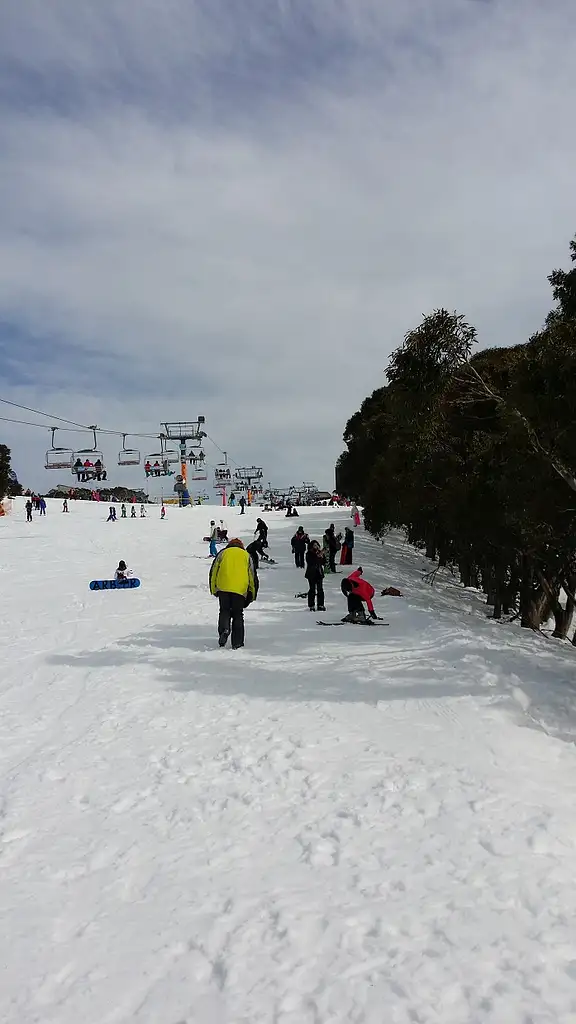 Mt Buller Day Tour From Melbourne