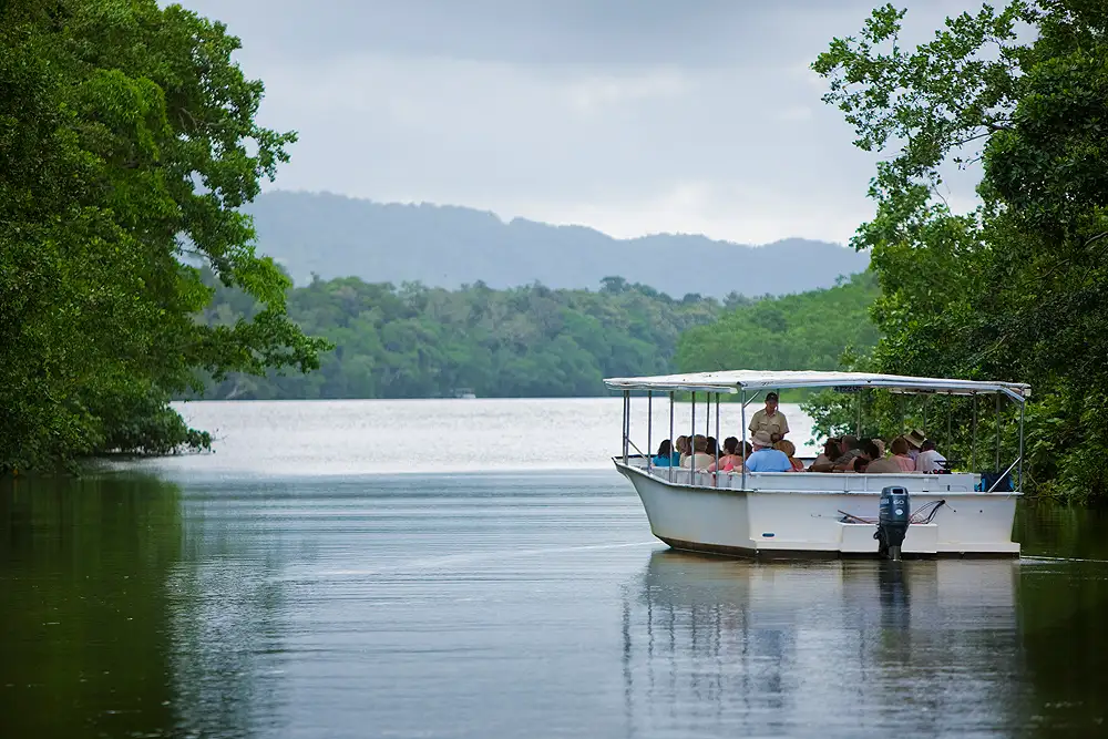 Cape Tribulation, Daintree & Mossman Gorge Day Tour