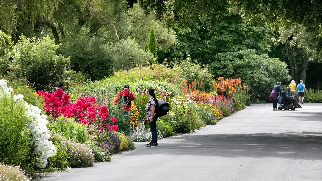 Christchurch Botanic Gardens Tour