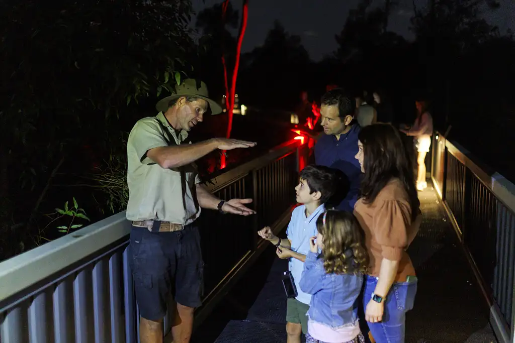 Lone Pine Koala Sanctuary Nocturnal Tour