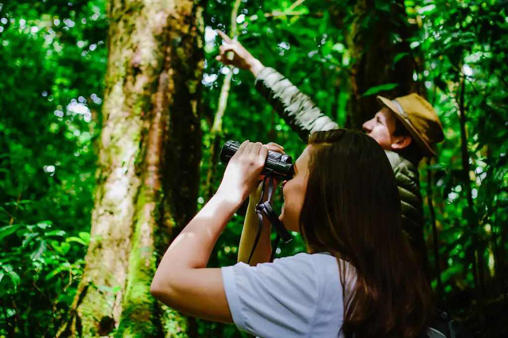 Cloud Forest Chills at Monteverde