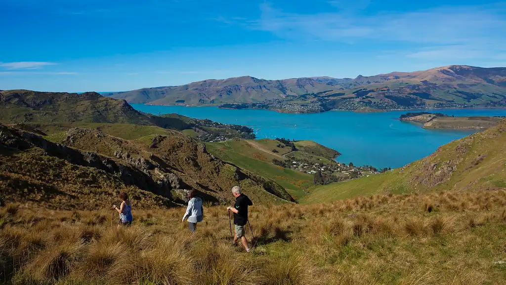 Christchurch Full-Day Guided Crater Rim Walk