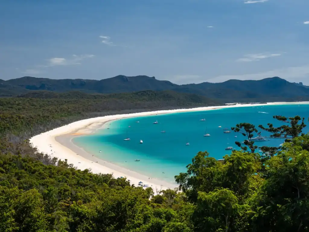 Whitehaven Beach Chill And Grill Experience