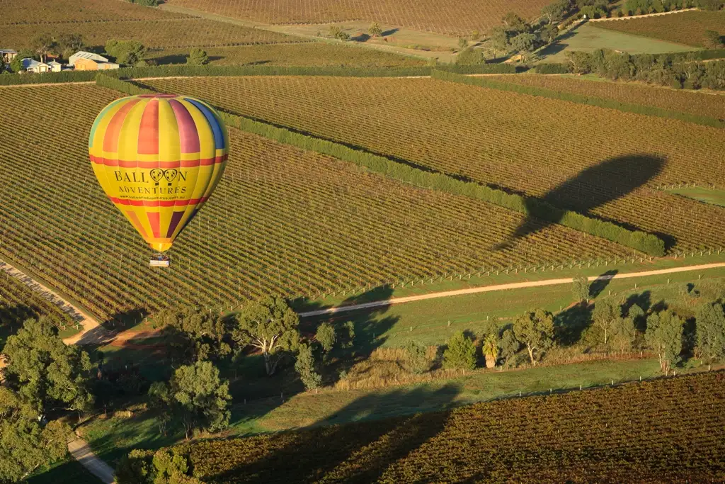 Sunrise Hot Air Balloon Flight Over Barossa Valley