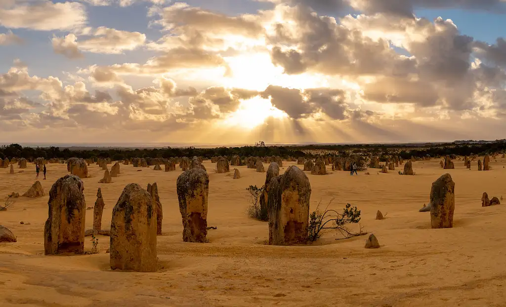 Pinnacles Sunset, Stargazing & Wildlife Full Day Tour