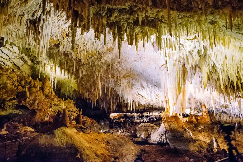 Jewel Cave Fully Guided Tour