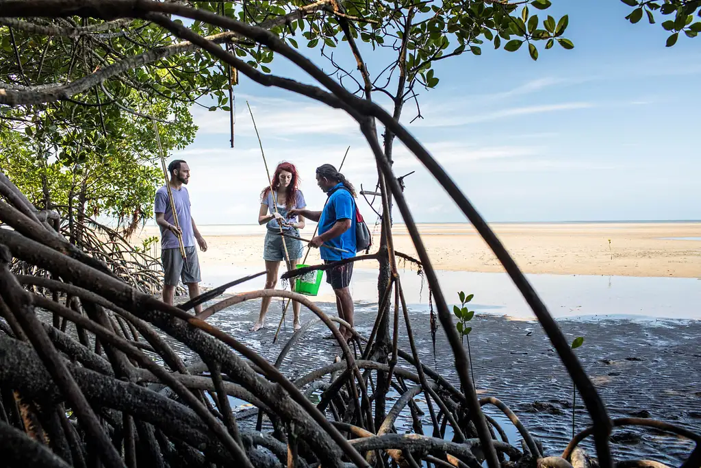 SEIT Daintree Dreaming – Traditional Aboriginal Fishing