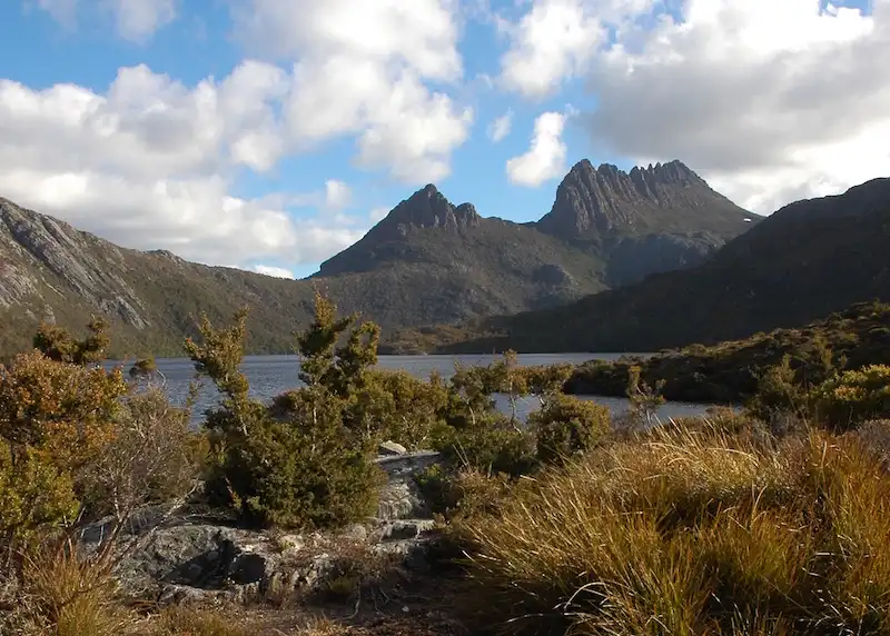 Cradle Mountain World Heritage Day Tour from Launceston