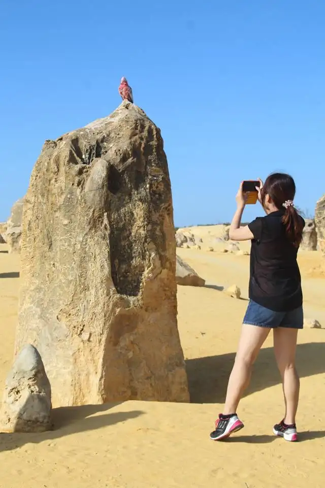 Yanchep National Park,  Pinnacles & Sandboarding