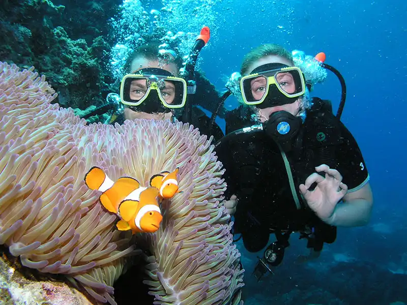 3 Day Great Barrier Reef Liveaboard Package | Snorkel or Dive