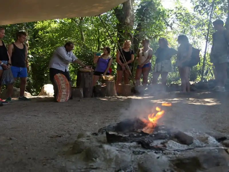 Cape Tribulation Budget Full day Tour