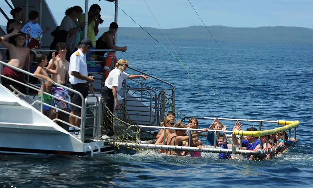 Jervis Bay Dolphin & Boom Netting Cruise