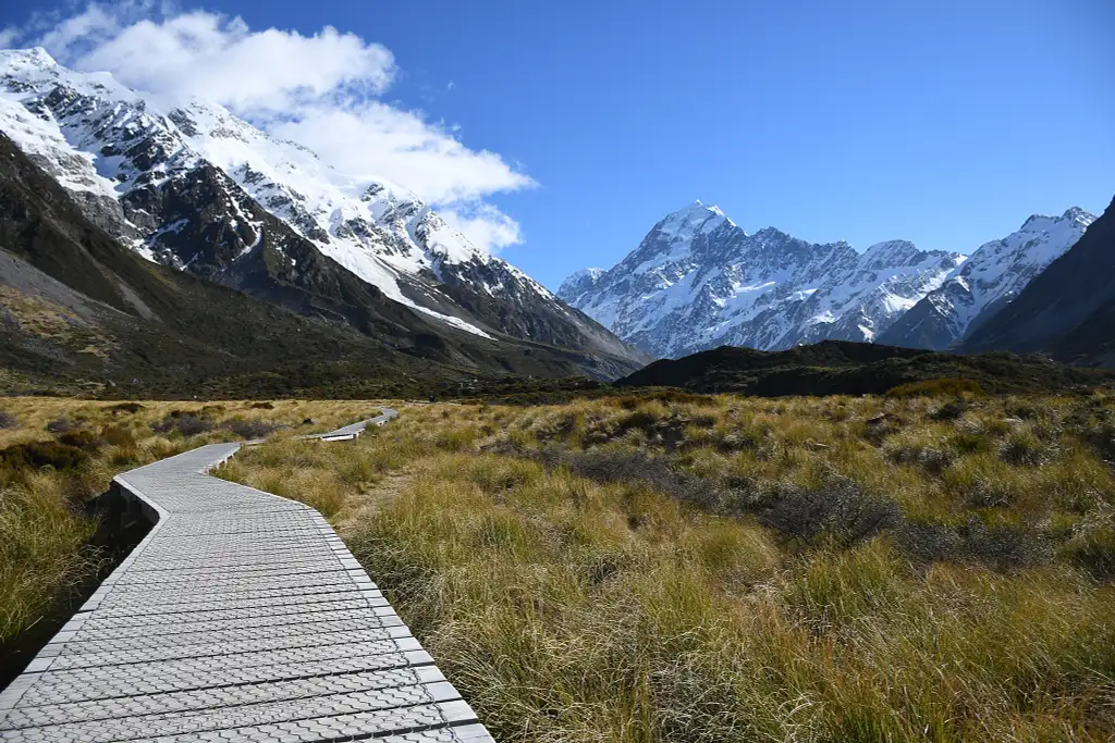 Mt Cook Day Tour From Christchurch Via Lake Tekapo