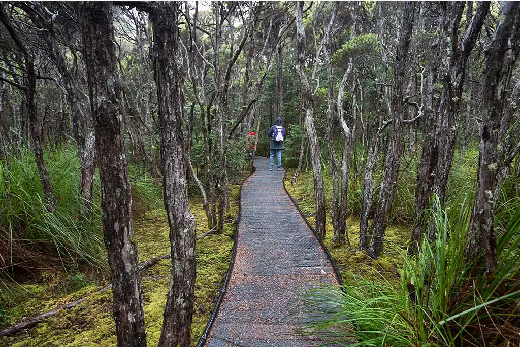 5 Day Bay Of Fires Walking Tour