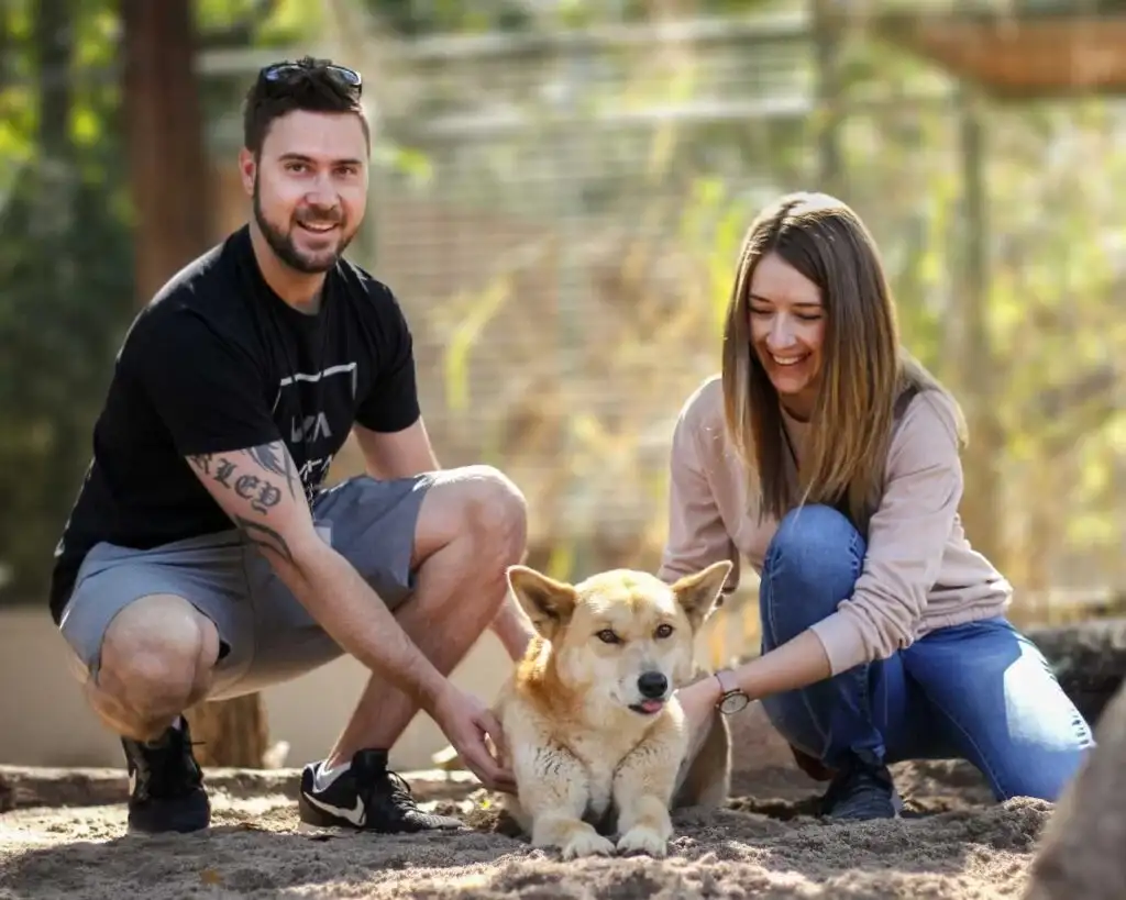 Lone Pine Koala Sanctuary Entry with Brisbane River Cruise