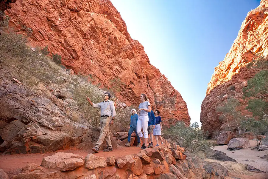 West MacDonnell Ranges Day Tour - Departing Alice Springs