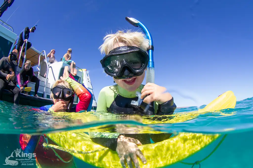 Whale Shark & Humpback Whale Eco Tour (Aug-Sept) | Departing Exmouth