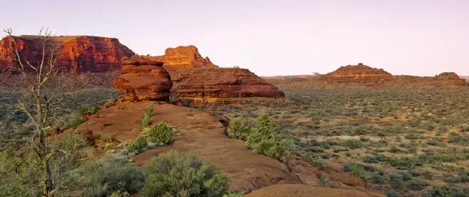 Palm Valley Outback Safari by 4WD