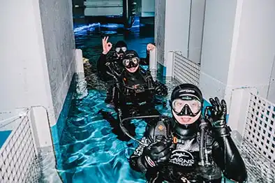 Dive With The Sharks at Cairns Aquarium