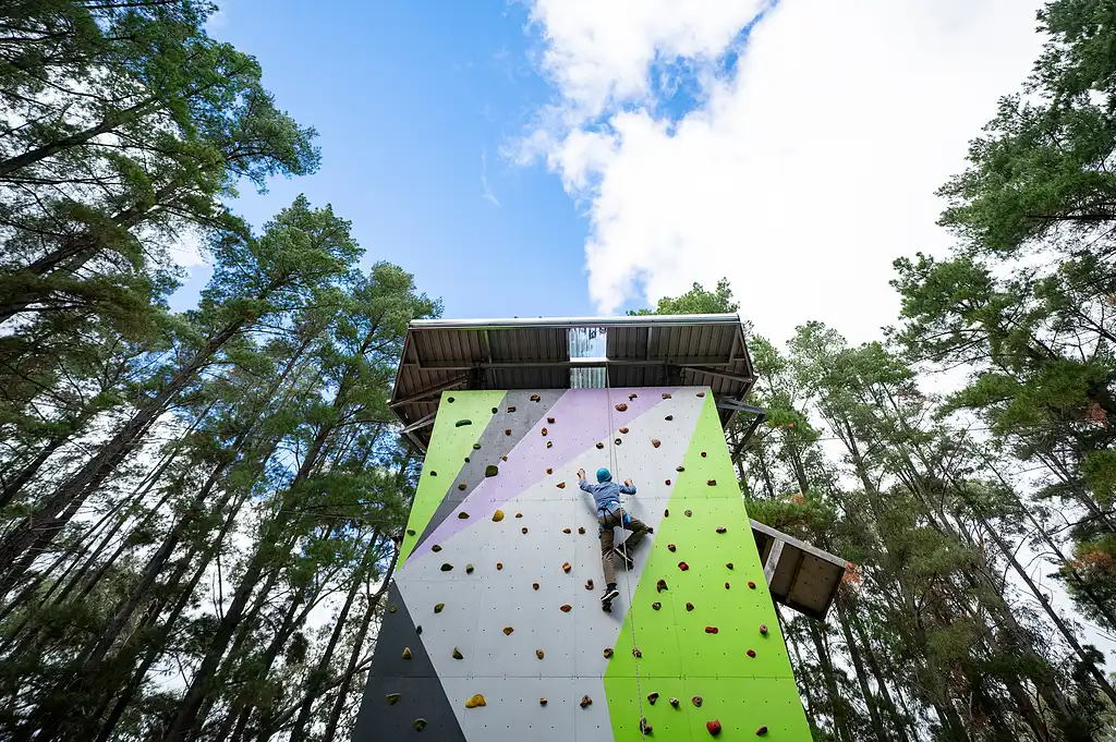 Rock Climb & Ropes Course - Southern Adventure Hub